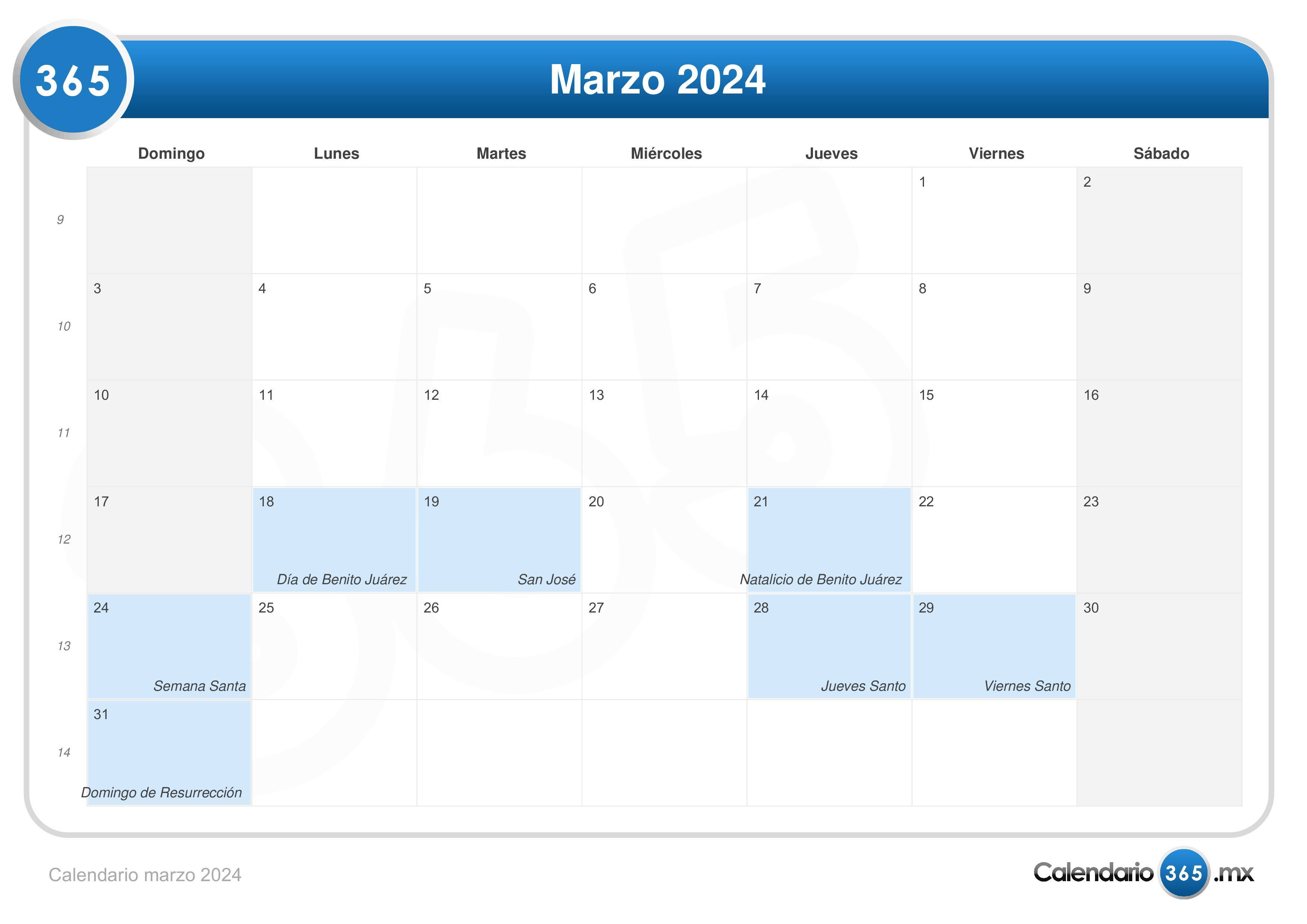 Calendario 2024 Para Imprimir